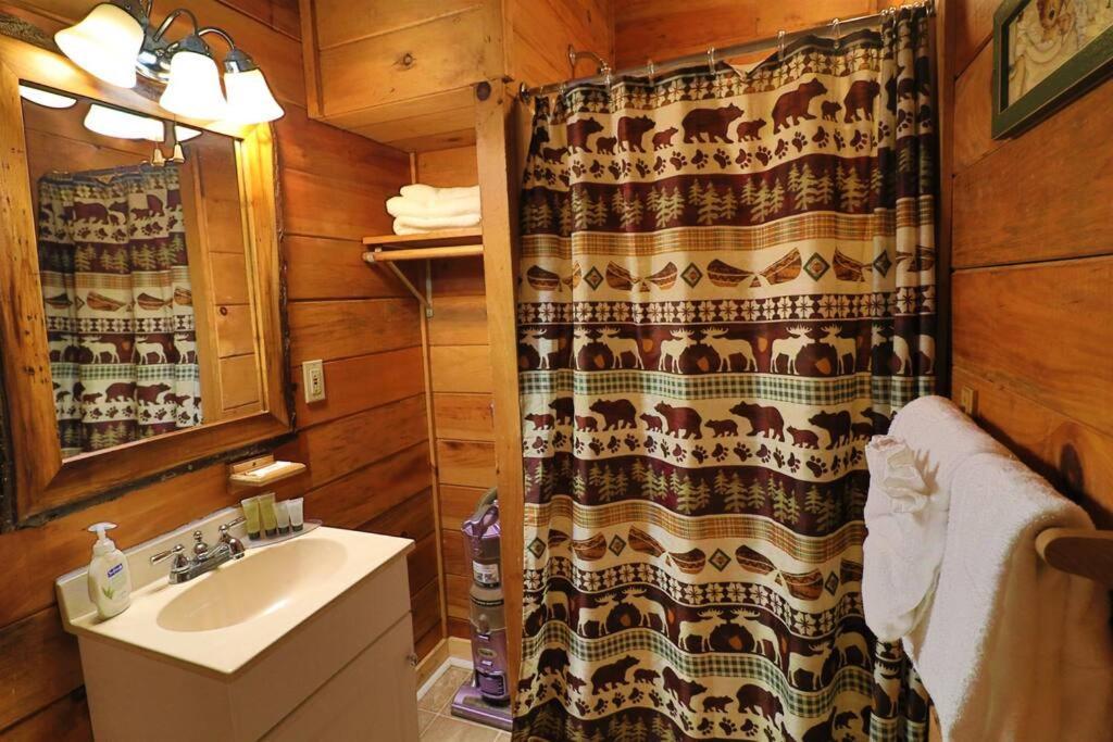 Alpine Mountain Sweetheart Cabin Jacuzzi #6 Helen Exterior foto